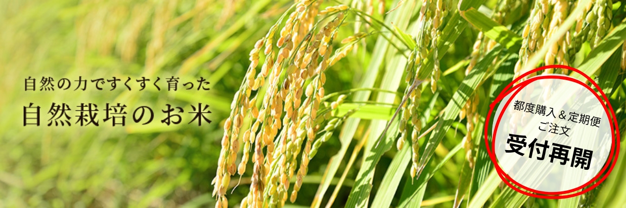 商品一覧ページ