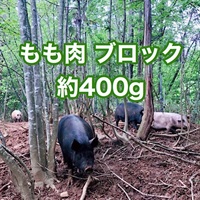 ［自然農園ウレシパモシリ］豚肉ももブロック 約400g【冷凍】