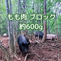 ［自然農園ウレシパモシリ］豚肉ももブロック 約600g【冷凍】