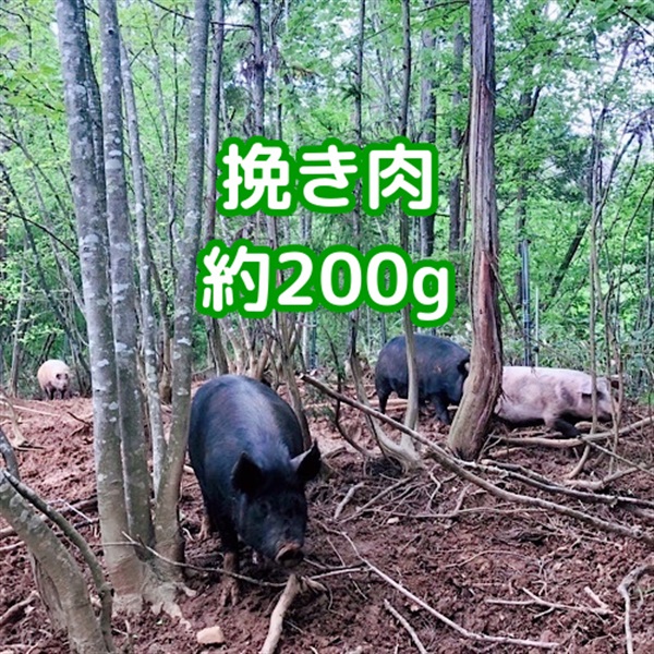 ［自然農園ウレシパモシリ］豚肉挽き肉 200g【冷凍】