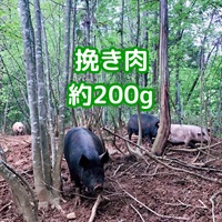 ［自然農園ウレシパモシリ］豚肉挽き肉 200g【冷凍】