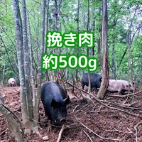 ［自然農園ウレシパモシリ］豚肉挽き肉 500g【冷凍】