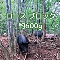 ［自然農園ウレシパモシリ］豚肉ロースブロック 約600g【冷凍】