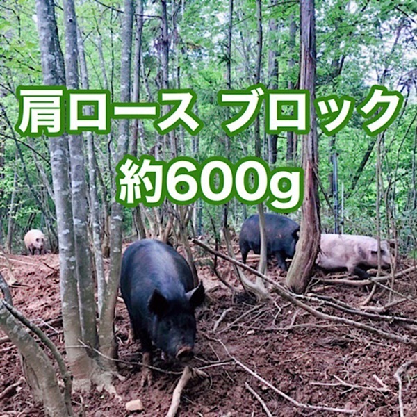 ［自然農園ウレシパモシリ］豚肉肩ロースブロック 約600g【冷凍】