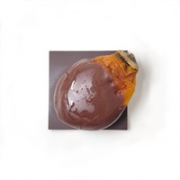■【数量限定】あんぽ柿チョコレート【冷凍】