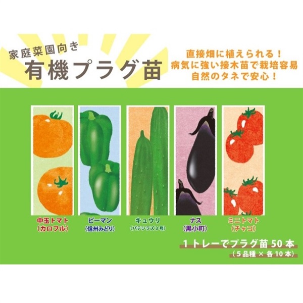【予約・直送】家庭菜園向き有機プラグ苗 5品種×10本（送料込）
