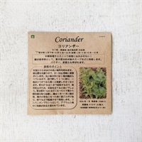 ［たねの森］種 コリアンダー約50粒