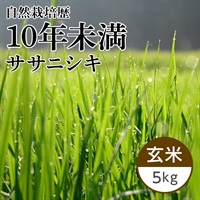 【新米】ササニシキ 玄米 5kg（かかしの夢）