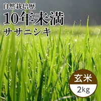 【新米】ササニシキ 玄米 2kg（かかしの夢）