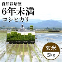 【新米】コシヒカリ 玄米 5kg（かかしの夢）