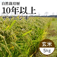 【新米】ササニシキ 玄米 5kg（瑞穂のしらべ）