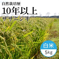 【新米】ササニシキ 白米 5kg（瑞穂のしらべ）