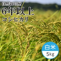 【新米】コシヒカリ 白米 5kg（瑞穂のしらべ）