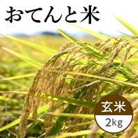 【新米】おてんと米 玄米 2kg