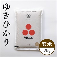 【新米】ゆきひかり 玄米 2kg