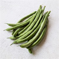 【自然栽培】ファームマールス いんげん 100g◆