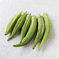 【自然栽培】サユールイトシロ 角オクラ 100g◆