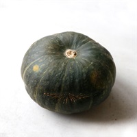 【自然栽培】サンズファーム かぼちゃ 1個◆