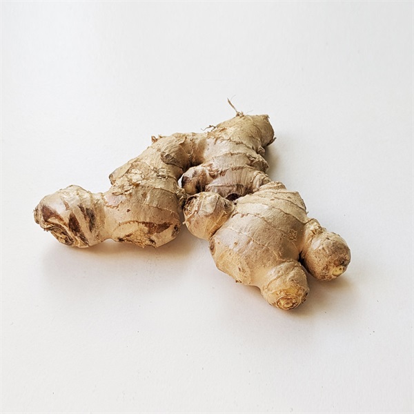  【自然栽培】川越農園 生姜 100g◆