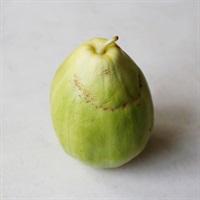 【自然栽培】仲居主一さん 梨瓜 1個◆