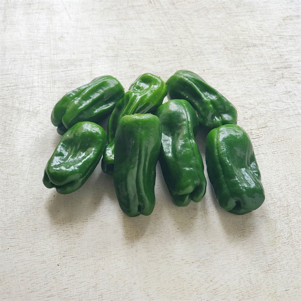 【自然栽培】自然農法成田生産組合 ピーマン 150g◆