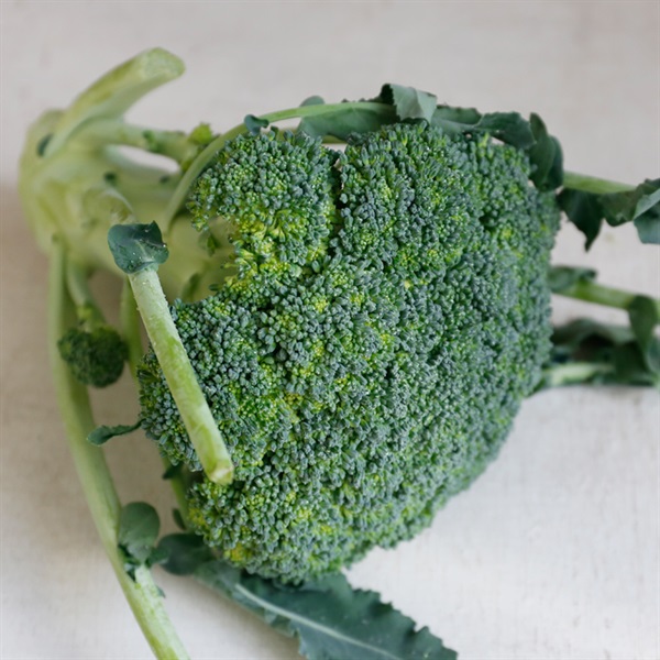 【自然栽培】田神俊一さん ブロッコリー 1P◆