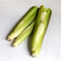 【自然栽培】後藤明宏さん マコモダケ 1P◆