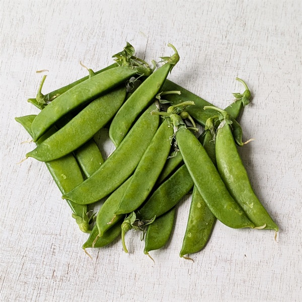 【自然栽培】そらの野菜 絹さや 100g◆