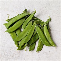 【自然栽培】そらの野菜 絹さや 100g◆