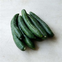 【自然栽培】イーストファーム きゅうり 1kg◆