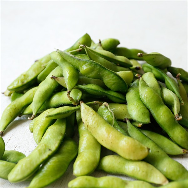  【自然栽培】サンズファーム 枝豆 1kg◆