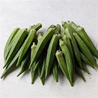 【自然栽培】豊永佐代子さん 角オクラ 1kg◆