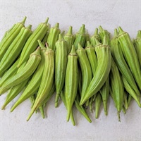 【自然栽培】サユールイトシロ 角オクラ 1kg◆