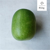 【自然栽培】自然農法成田生産組合 冬瓜 （小）1個◆