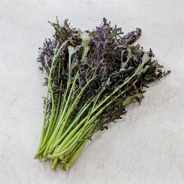 【自然栽培】イーストファーム からし菜 1P◆