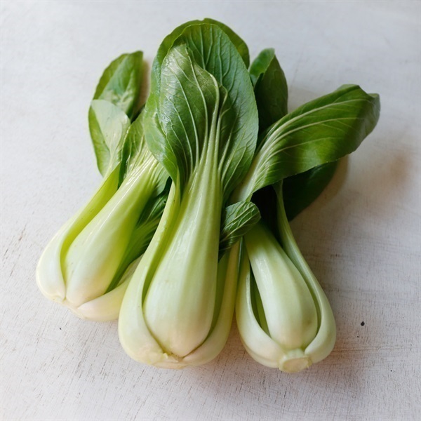 【自然栽培】くわの実ファーム チンゲン菜 1P◆