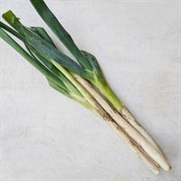 【自然栽培】福澤順宣さん ねぎ 200g◆