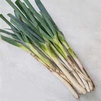 【自然栽培】福澤順宣さん ねぎ 1kg◆