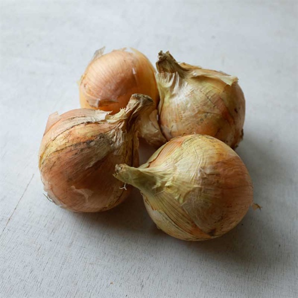 ＜豊作＆まとめ買いSALE＞【自然栽培】紅葉倶楽部  玉ねぎ 1kg ◆