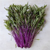 【自然栽培】牧和弥さん 水菜 1kg◆