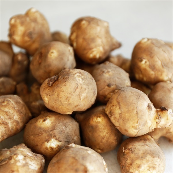 ＜豊作＆まとめ買いSALE＞【自然栽培】牧和弥さん 菊芋 1kg◆