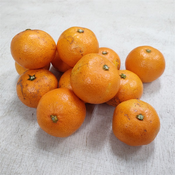 【自然栽培】田中祐二さん みかん 1kg◆