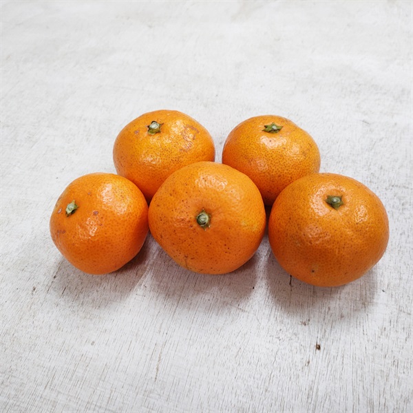 【自然栽培】田中祐二さん みかん 500g◆