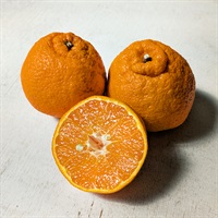 【自然栽培】福島雄治さん 不知火 500g◆