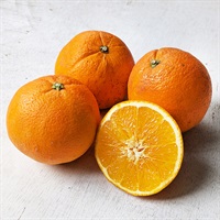 【自然栽培】福島雄治さん ネーブル 1kg◆