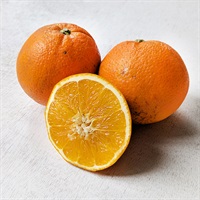 【自然栽培】福島雄治さん ネーブル 500g◆