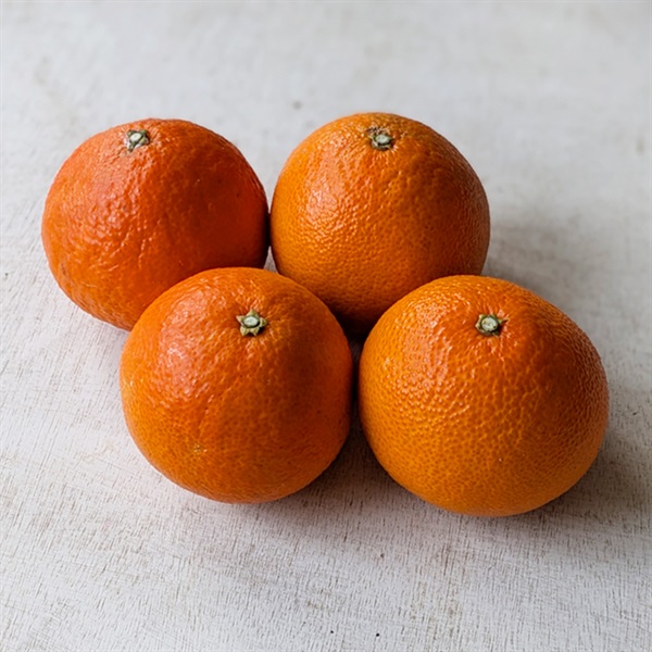 【自然栽培】田中祐二さん 紅マドンナ 1kg◆