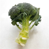＜豊作SALE＞【農薬・肥料不使用】國吉農園 ブロッコリー 1P★