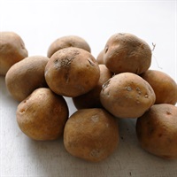 【自然栽培】中西農園 じゃがいも キタアカリ（小）1kg◆