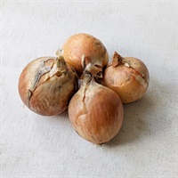 ＜豊作SALE＞【自然栽培】自然農法根っこの会 玉ねぎ 500g◆